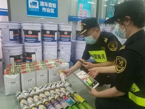 港珠澳大橋海關查獲逾1.5噸未申報?；?，筑牢國門安全防線